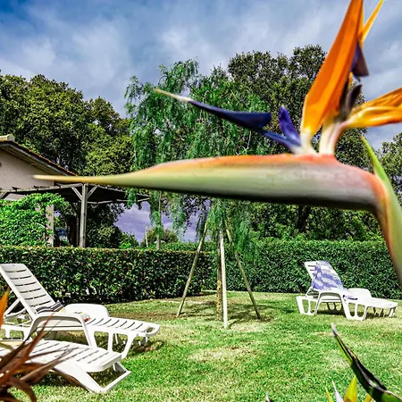 Apartmán Le Querce App. Melograno Capoliveri (Isola d'Elba)