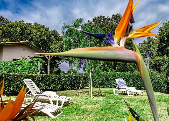 Le Querce App. Melograno Apartmán Capoliveri (Isola d'Elba)